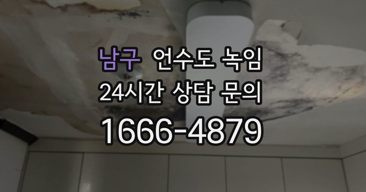 남구 언수도 녹임