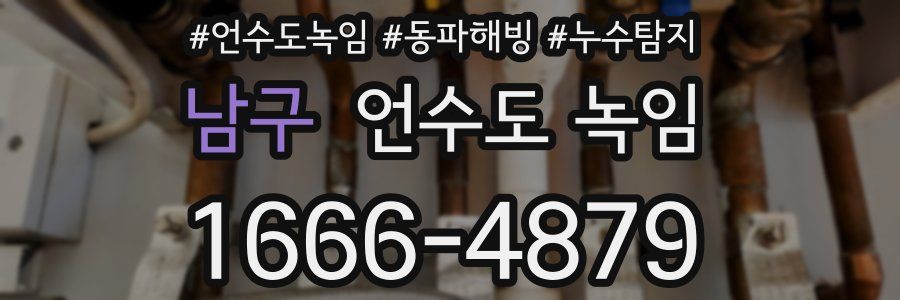 남구 언수도 녹임