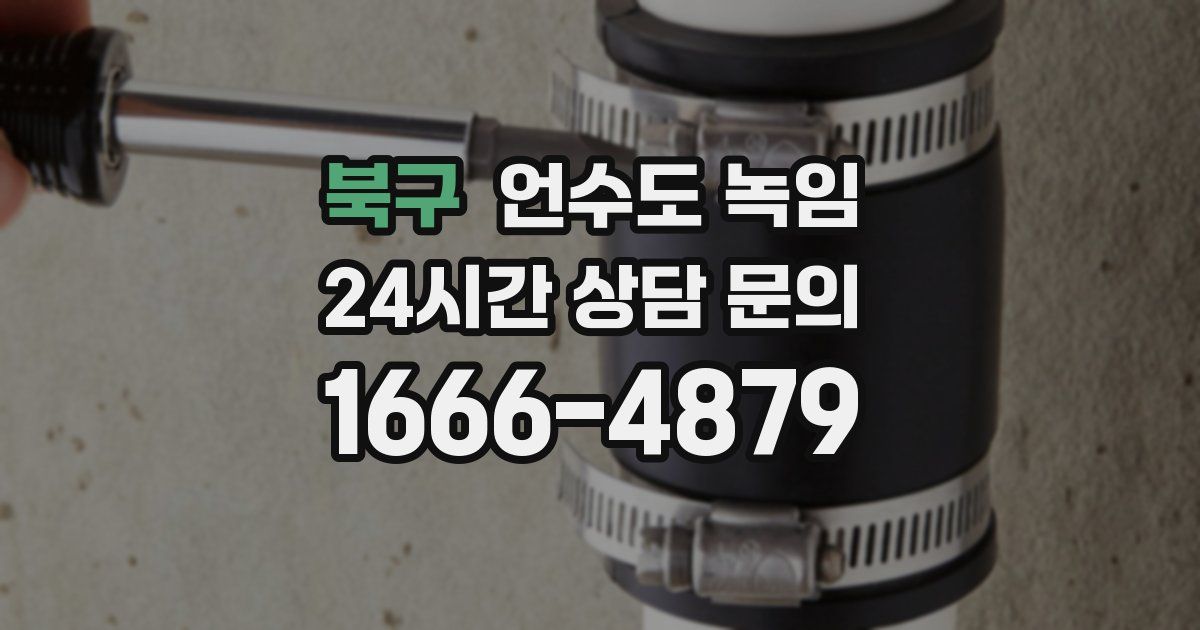 북구 언수도 녹임