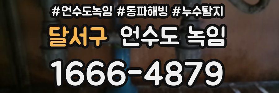 달서구 언수도 녹임