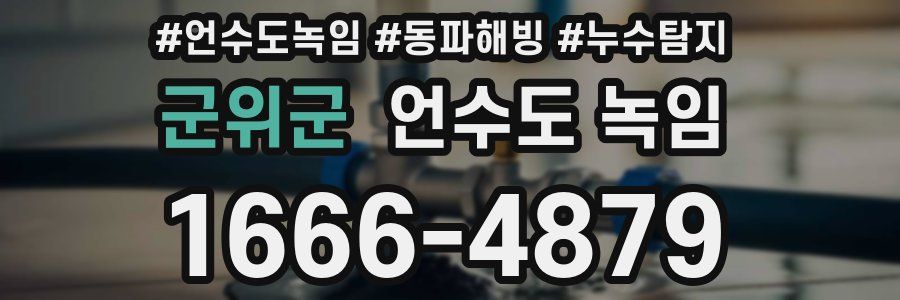 군위군 언수도 녹임