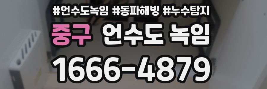 중구 언수도 녹임