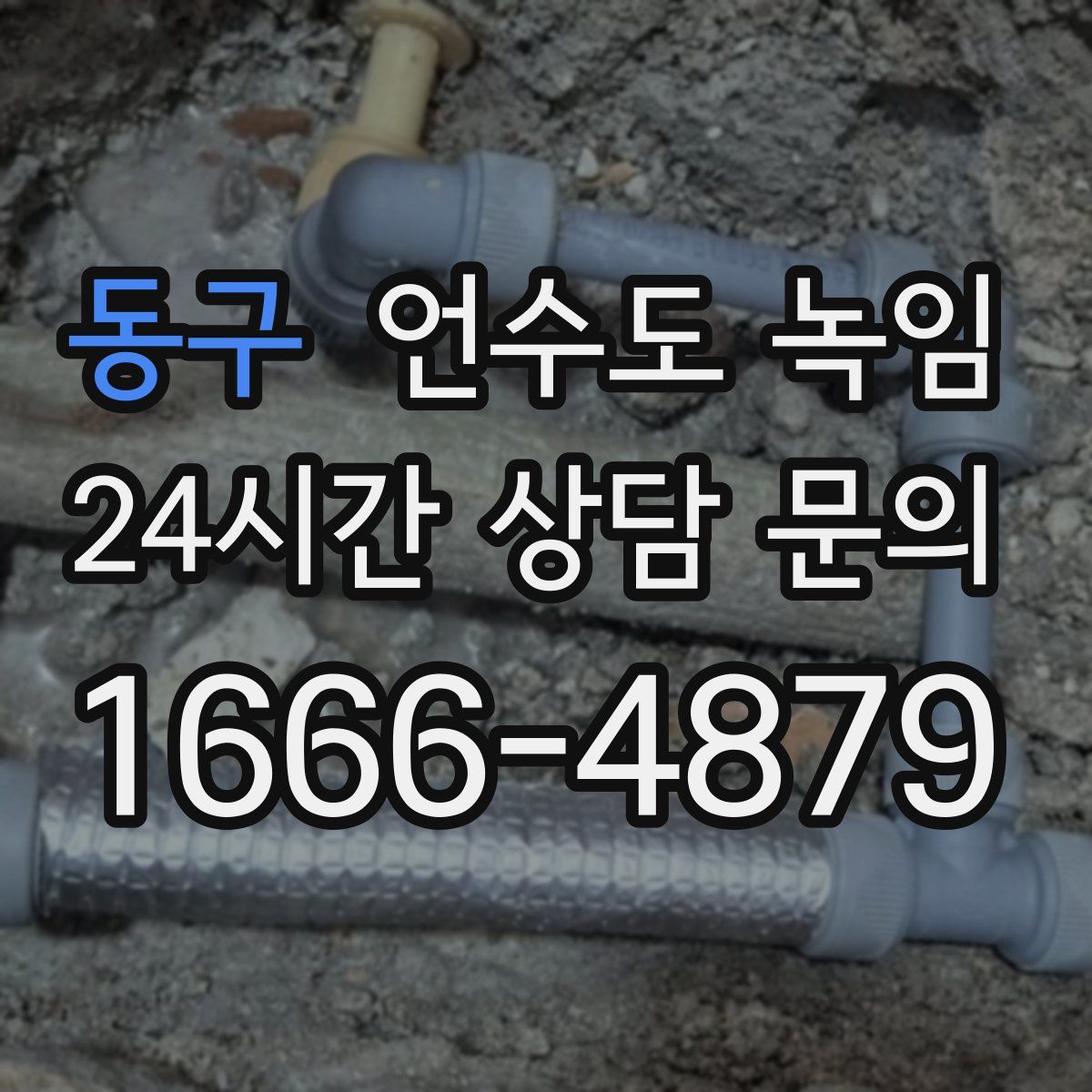 동구 언수도 녹임