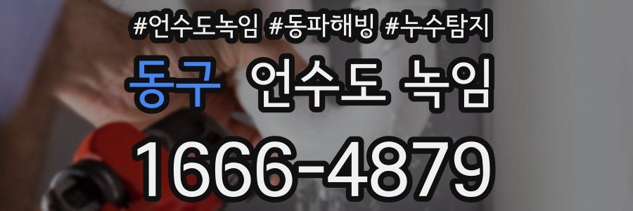 동구 언수도 녹임