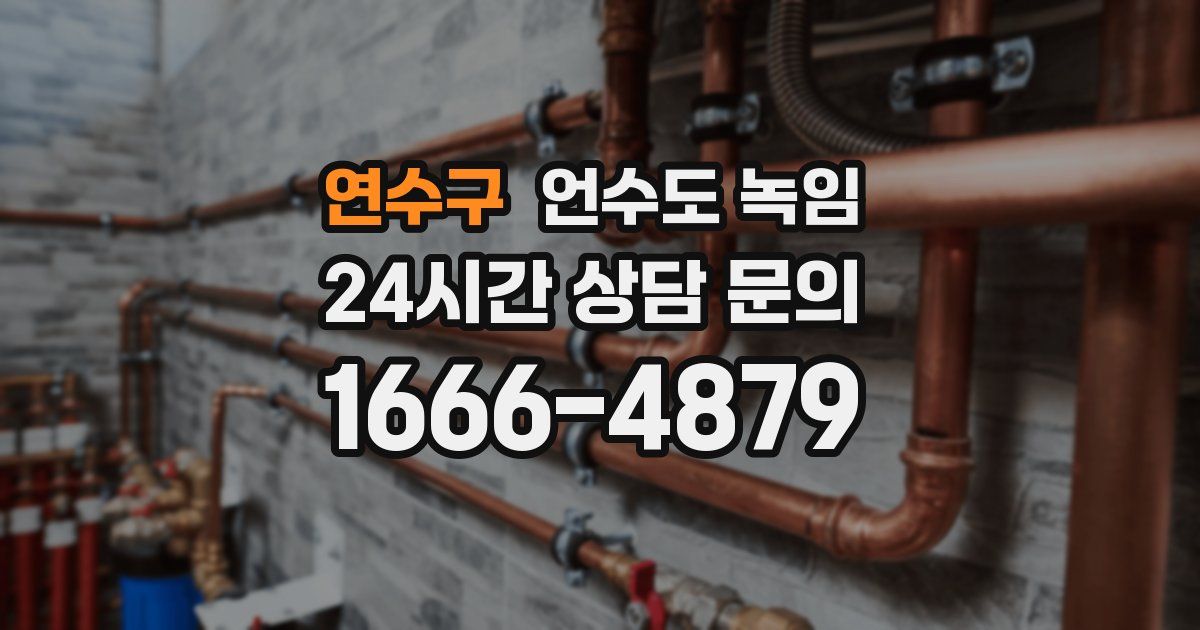 연수구 언수도 녹임