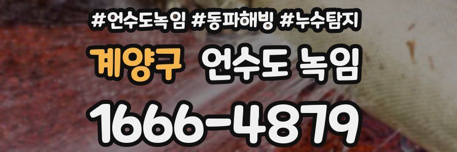 계양구 언수도 녹임