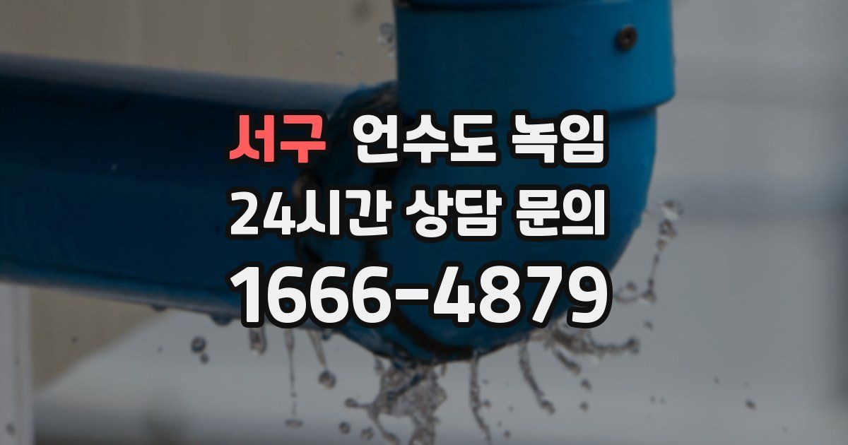 서구 언수도 녹임