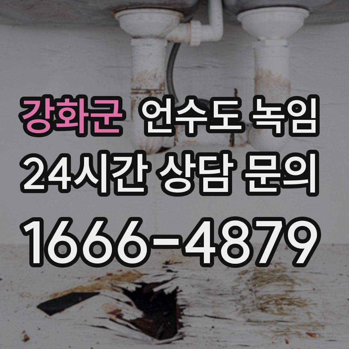 강화군 언수도 녹임