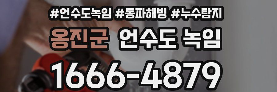 옹진군 언수도 녹임