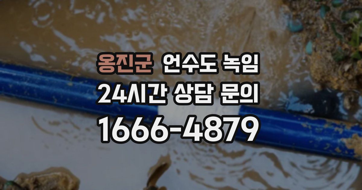 옹진군 언수도 녹임