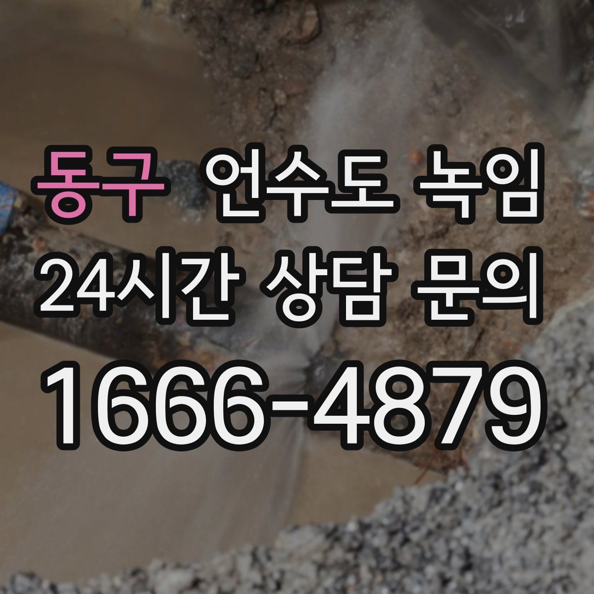 동구 언수도 녹임