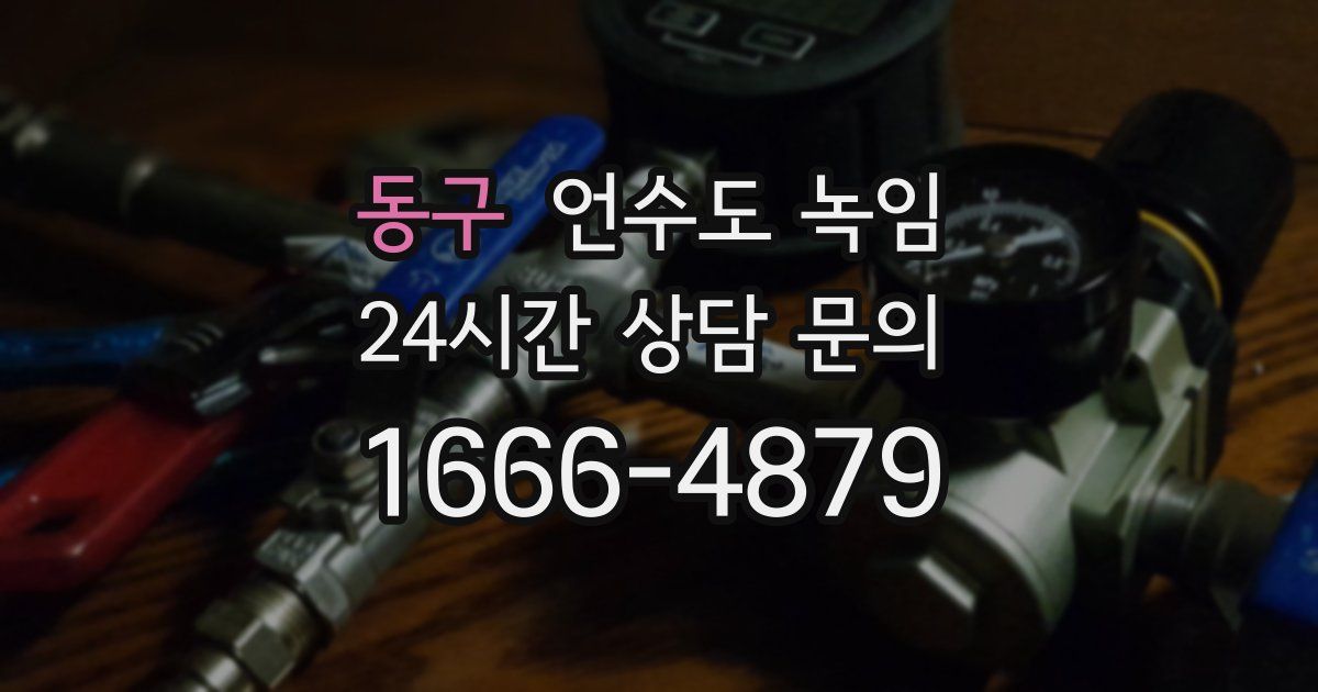 동구 언수도 녹임