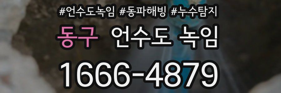 동구 언수도 녹임