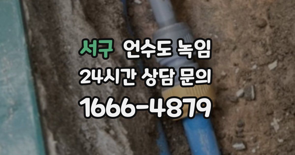 서구 언수도 녹임