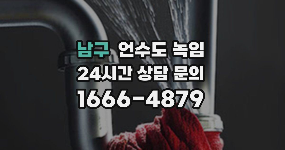 남구 언수도 녹임