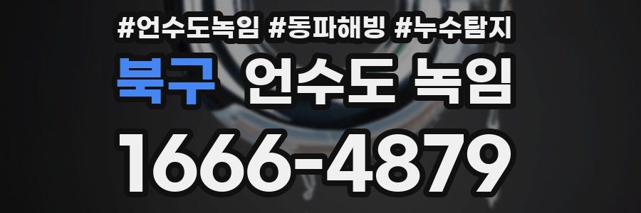 북구 언수도 녹임