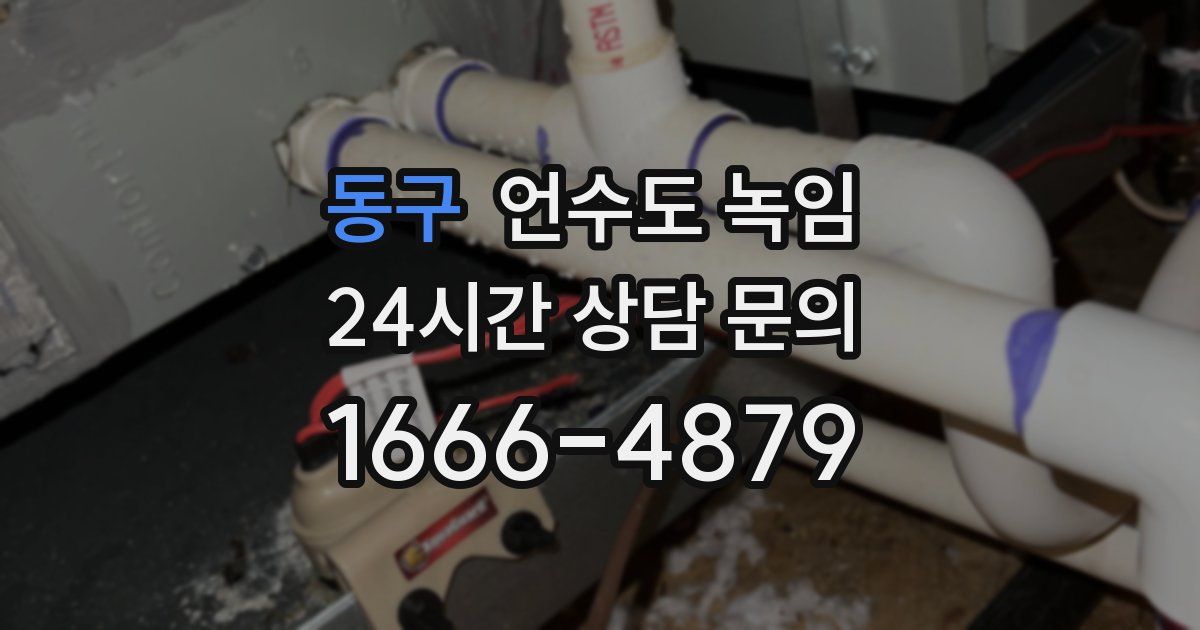 동구 언수도 녹임