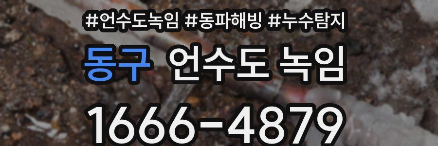 동구 언수도 녹임