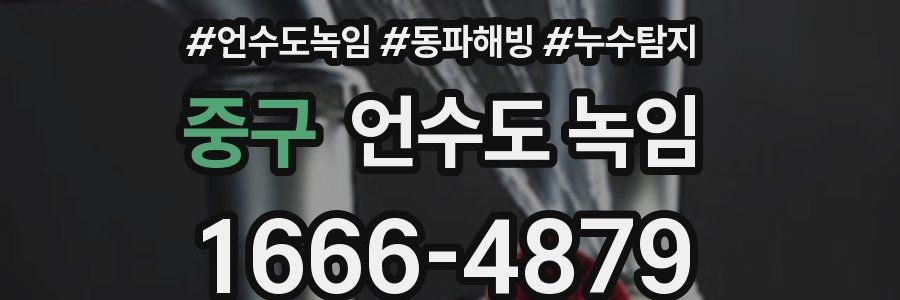 중구 언수도 녹임