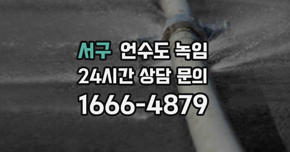 서구 언수도 녹임