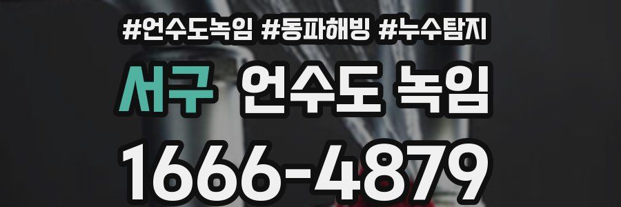 서구 언수도 녹임