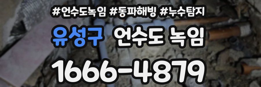 유성구 언수도 녹임