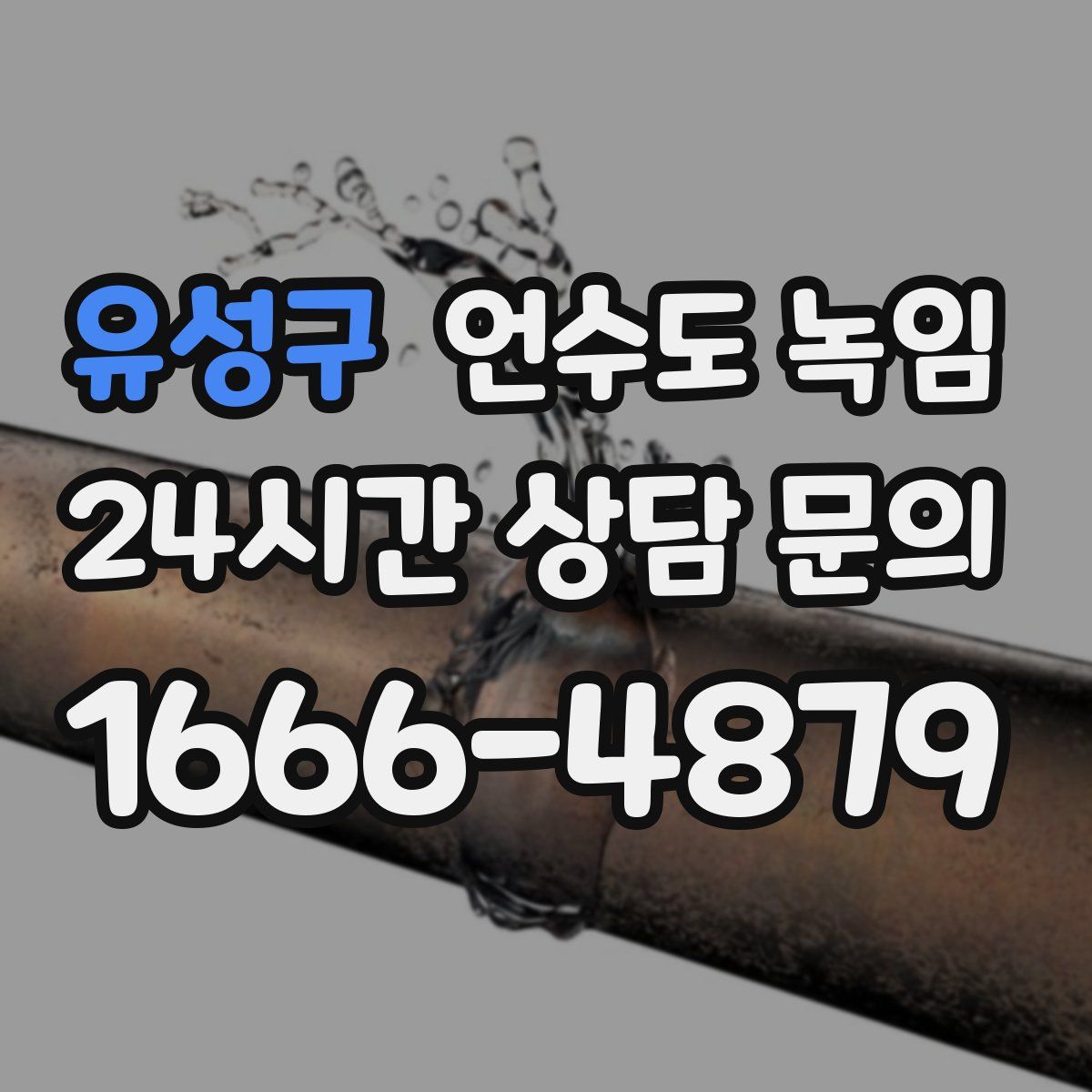 유성구 언수도 녹임