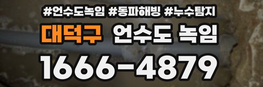 대덕구 언수도 녹임