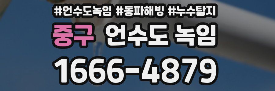 중구 언수도 녹임