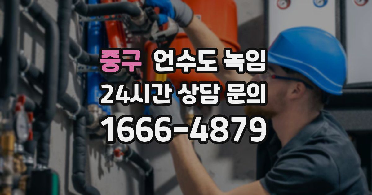 중구 언수도 녹임