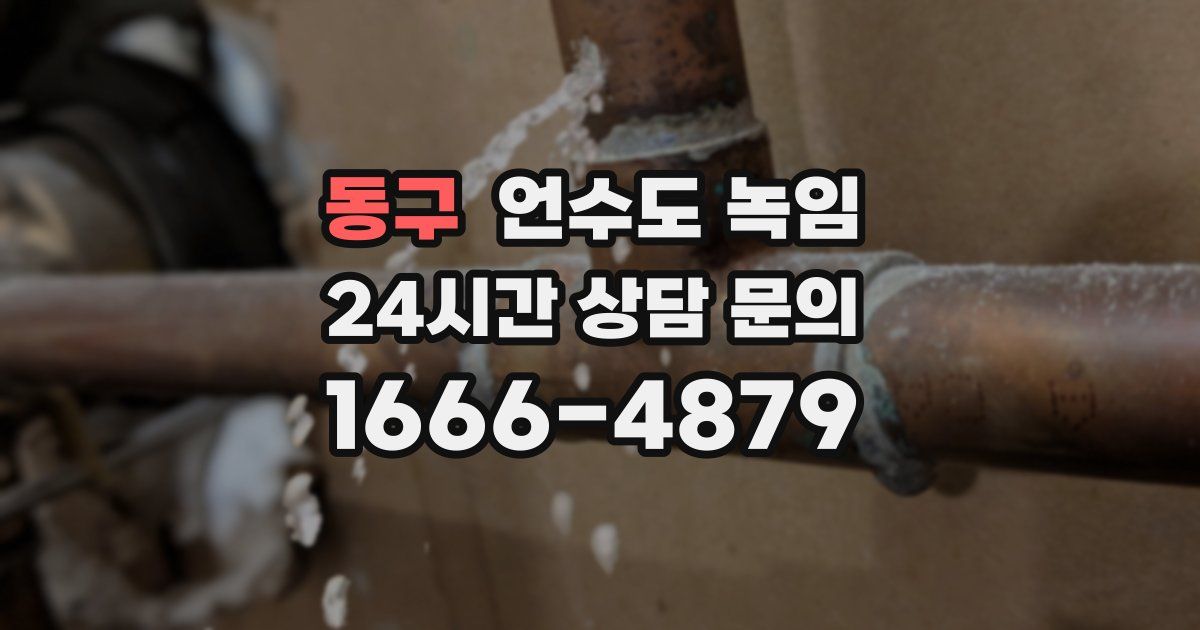 동구 언수도 녹임