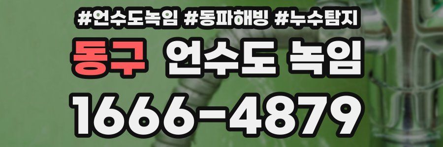 동구 언수도 녹임