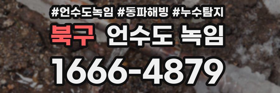 북구 언수도 녹임