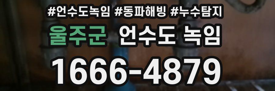 울주군 언수도 녹임