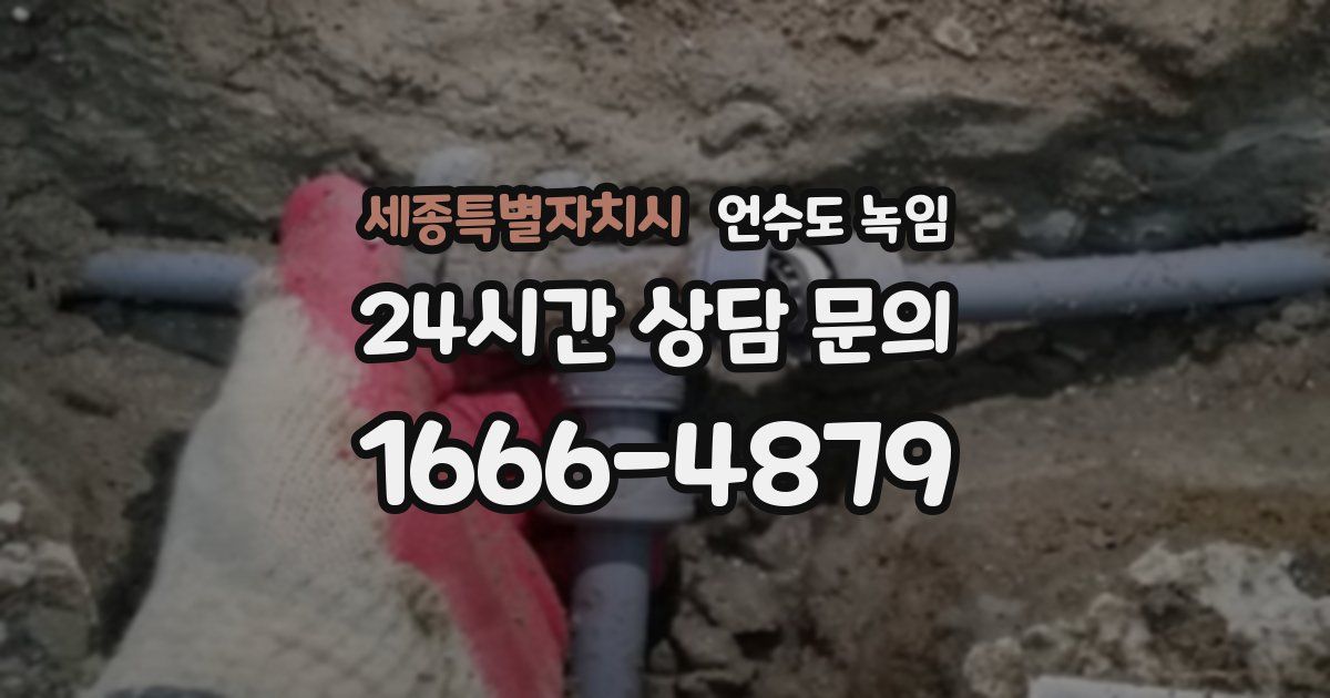 세종특별자치시 언수도 녹임