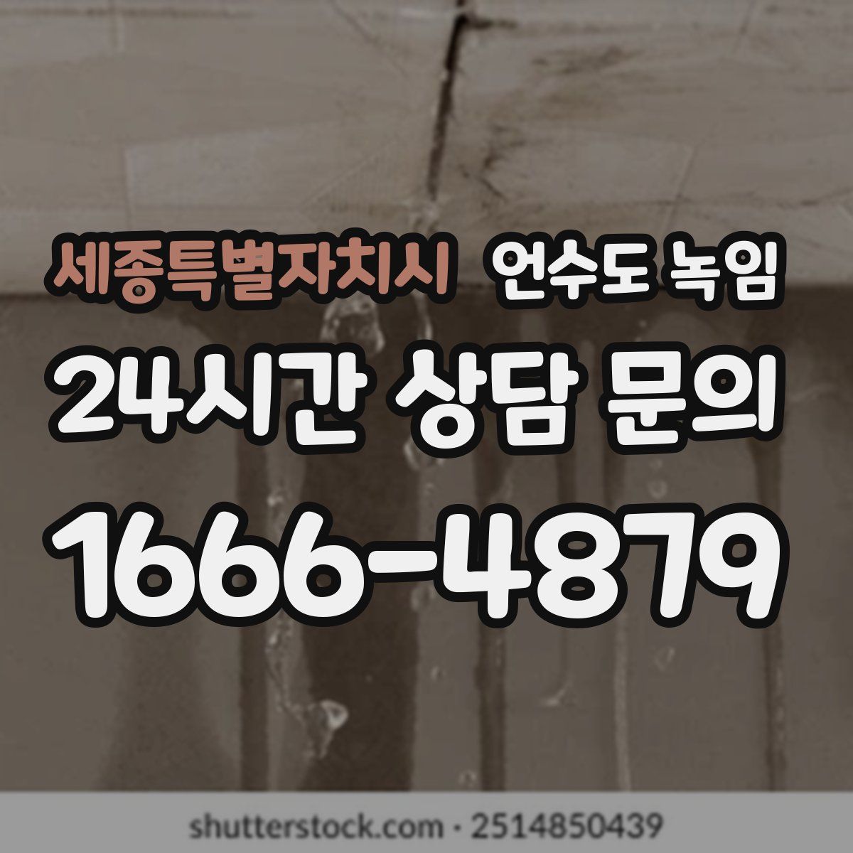세종특별자치시 언수도 녹임