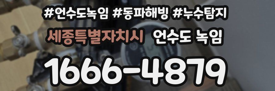 세종특별자치시 언수도 녹임