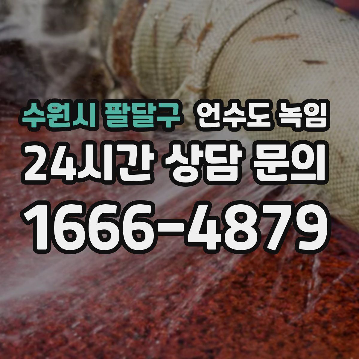 수원시 팔달구 언수도 녹임