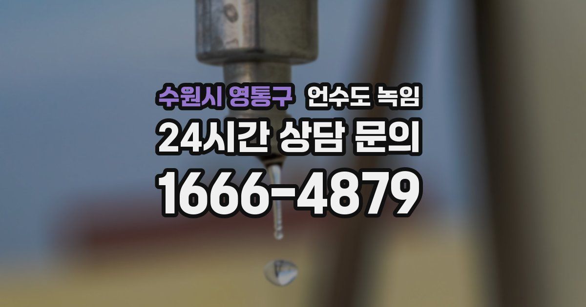 수원시 영통구 언수도 녹임