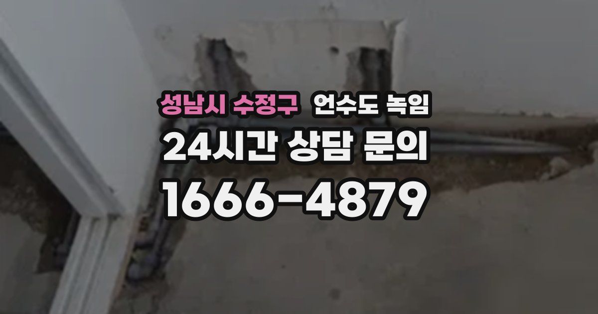 성남시 수정구 언수도 녹임