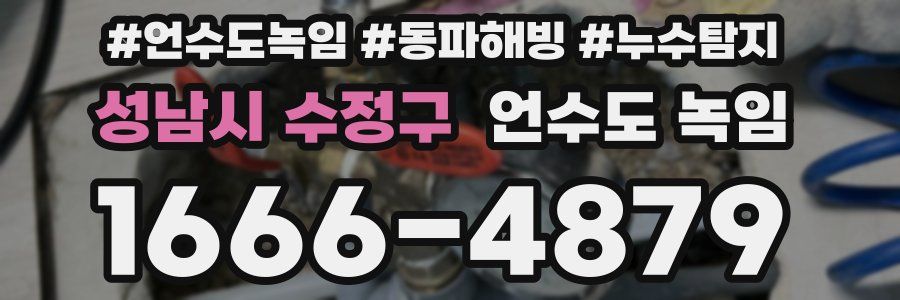 성남시 수정구 언수도 녹임