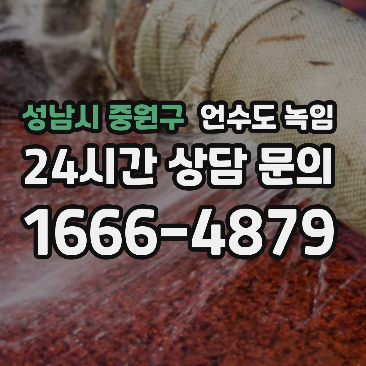 성남시 중원구 언수도 녹임