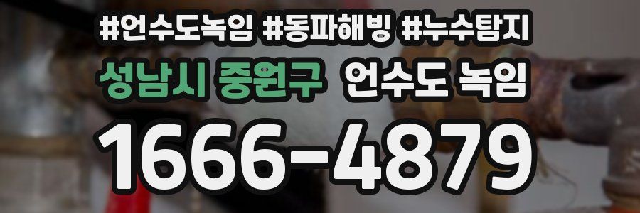 성남시 중원구 언수도 녹임