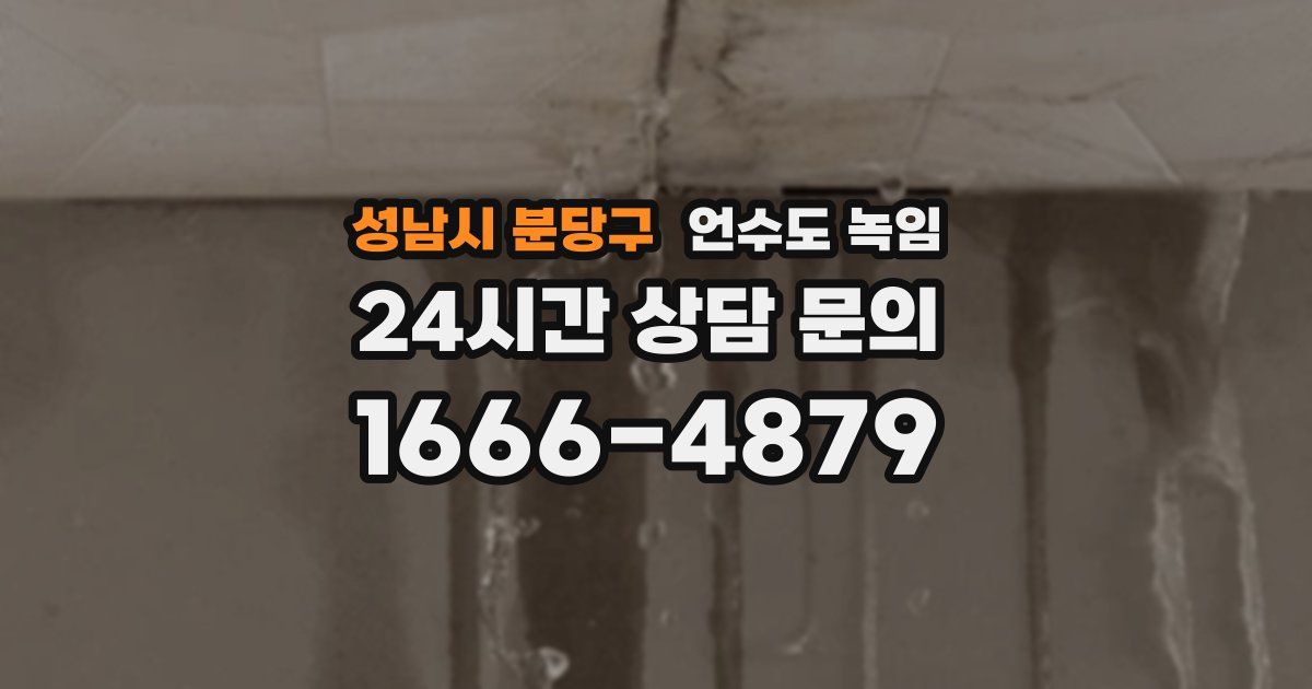 성남시 분당구 언수도 녹임