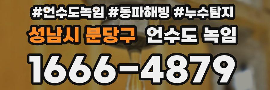 성남시 분당구 언수도 녹임