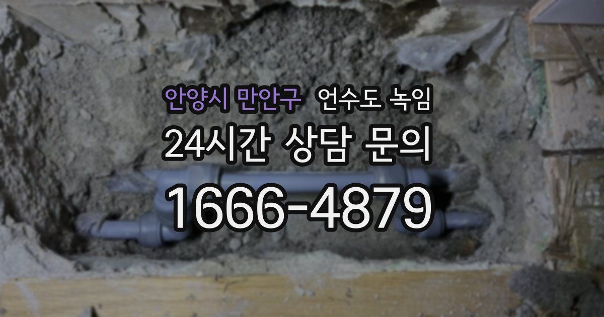 안양시 만안구 언수도 녹임