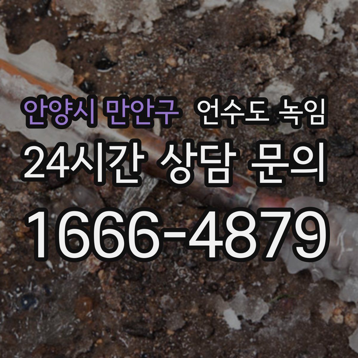 안양시 만안구 언수도 녹임