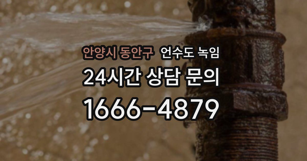 안양시 동안구 언수도 녹임