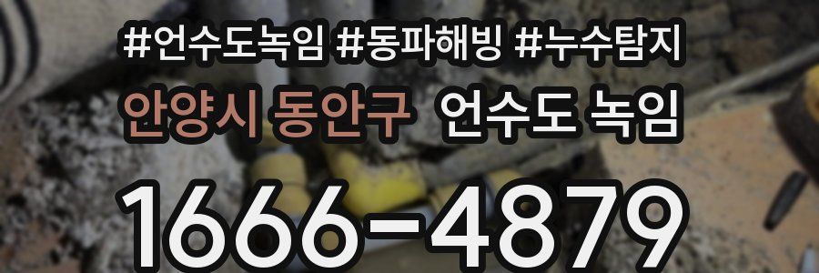 안양시 동안구 언수도 녹임