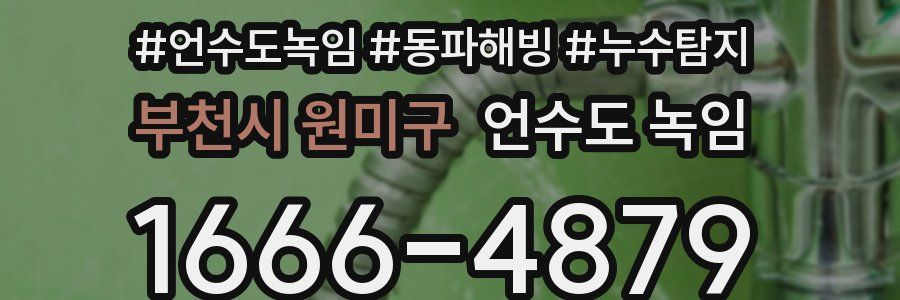 부천시 원미구 언수도 녹임